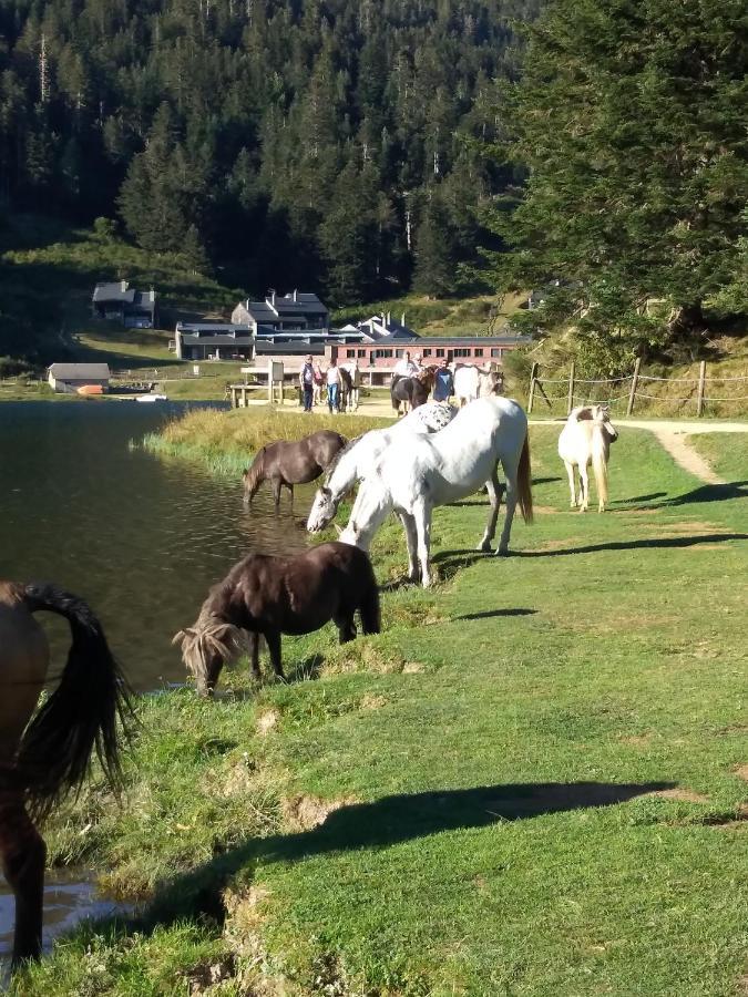 Gîte cosy Lac de Payolle Campan Extérieur photo